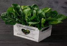 clean food concept leaves fresh organic spinach greens wooden box black background healthy detox spring summer diet vegan raw food