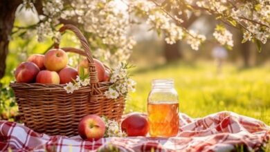 Fresh apples in a polka dotted red plate with a glass of apple juice, set against an apple garden and sunny sky backdrop.