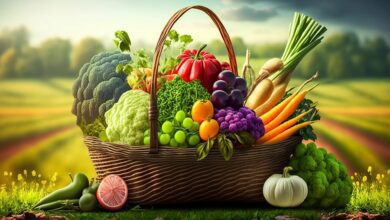 fresh green and mix colored vegetables in big basket in field gr