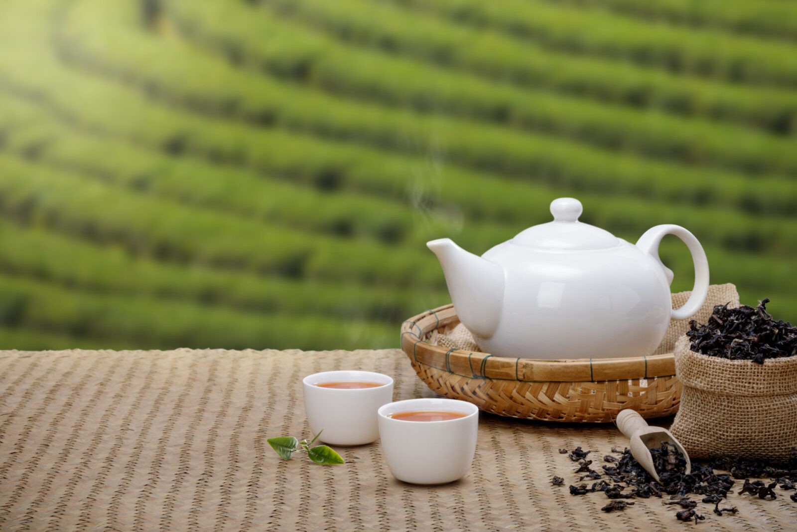 Warm cup of tea with teapot, green tea leaves and dried herbs on
